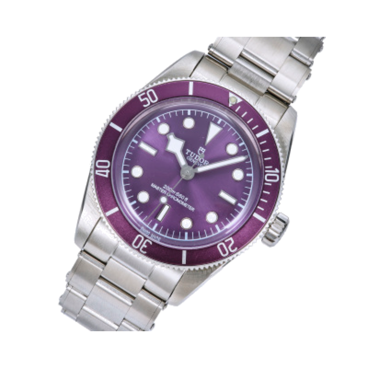 Tudor Black Bay Steel Purple Bezel Purple Dial Steel Bracelet Watch 41mm